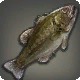 Sun Bass