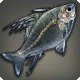 Suspect Skeletonfish