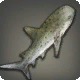 Thavnairian Shark