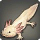 Tiny Axolotl
