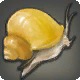 Toffee Snail