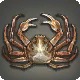 Tortoiseshell Crab