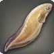 Trailing Snailfish