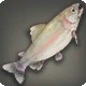 Trailtrout