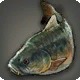 Ultimoat Carp