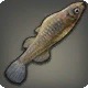 Upside-down Minnow