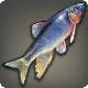 Ut'ohmu Dawnfish