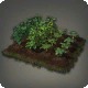 Vegetable Garden