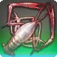 Vivid Pink Shrimp