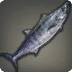 Wahoo