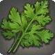 Water Mint