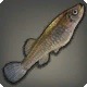 Weeping Minnow