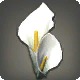 White Arum Corsage