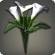 White Arums