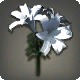 White Brightlilies