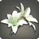 White Brightlily Corsage