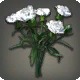 White Carnations