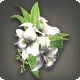 White Cattleya Corsage