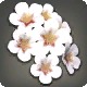 White Cherry Blossom Corsage