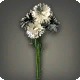 White Cornflowers