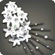 White Hyacinth Corsage