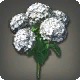 White Hydrangeas