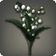 White Lilies of the Valley