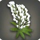 White Lupin Corsage