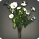 White Morning Glories