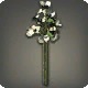 White Paperflowers