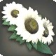 White Sunflower Corsage