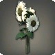 White Sunflowers