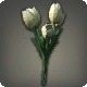 White Tulips