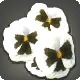 White Viola Corsage