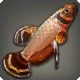 Wild Red Betta