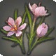 Windtea Leaves