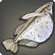 Winged Hatchetfish