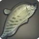 Wootz Knifefish