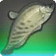 Wootz Knifefish Zenith