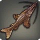Wronghair Catfish