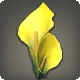 Yellow Arum Corsage