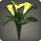 Yellow Arums