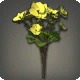 Yellow Byregotia