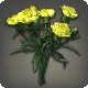 Yellow Carnations