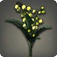Yellow Lilies of the Valley