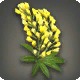 Yellow Lupin Corsage