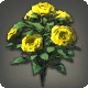 Yellow Oldroses