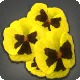 Yellow Viola Corsage