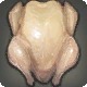 Young Dodo Roaster