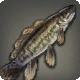 Yyasulani Bowfin